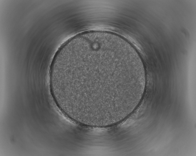 X0000110940848200907101245