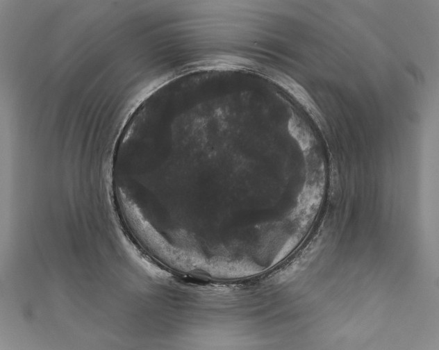 X0000110940850200907101245