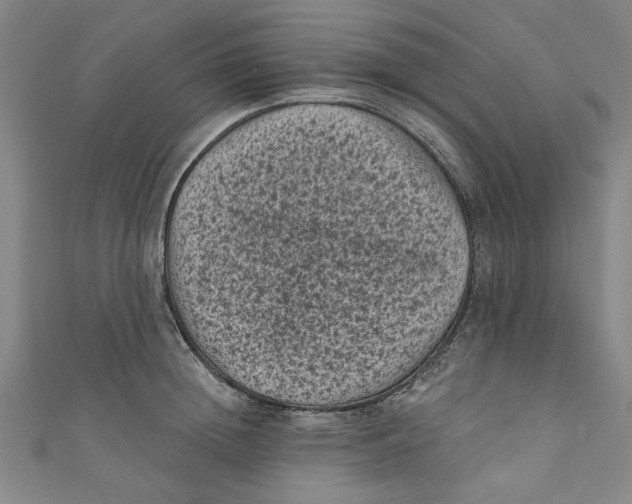 X0000110940852200907101245