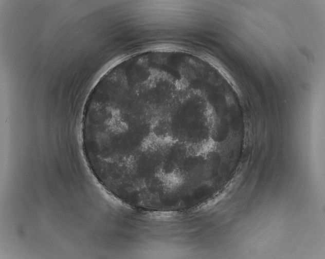 X0000110940853200907101245