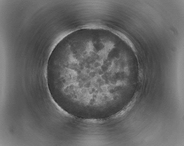 X0000110940855200907101245