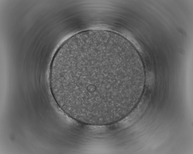 X0000110940856200907101245