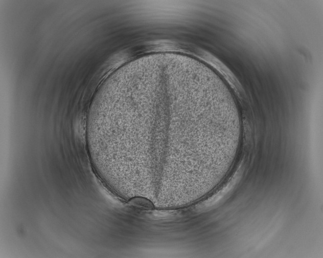 X0000110940857200907101245