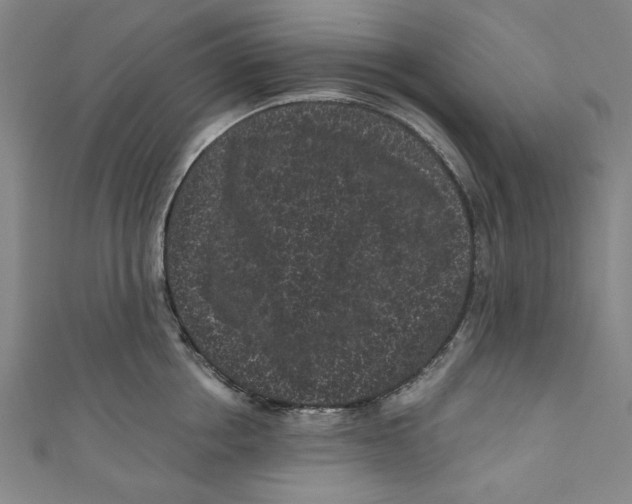 X0000110940858200907101245