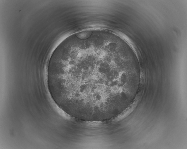 X0000110940859200907101245