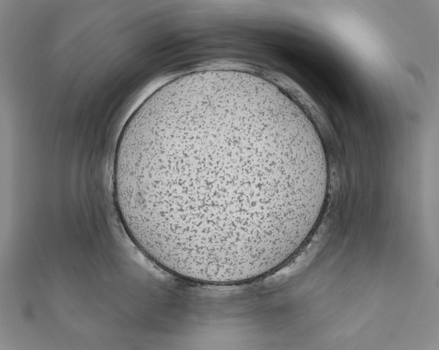 X0000110940860200907101245