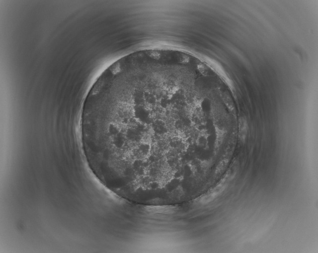 X0000110940863200907101245