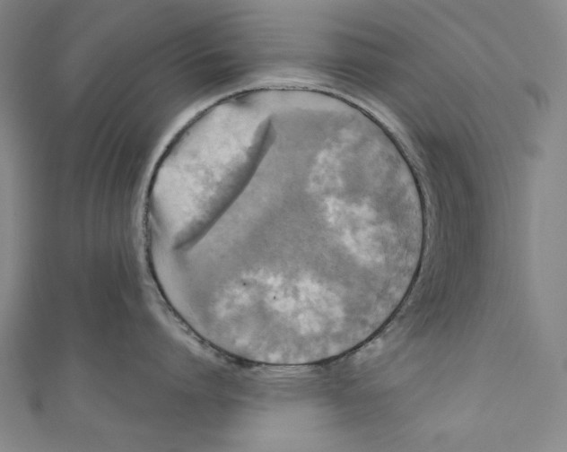 X0000110940864200907101245