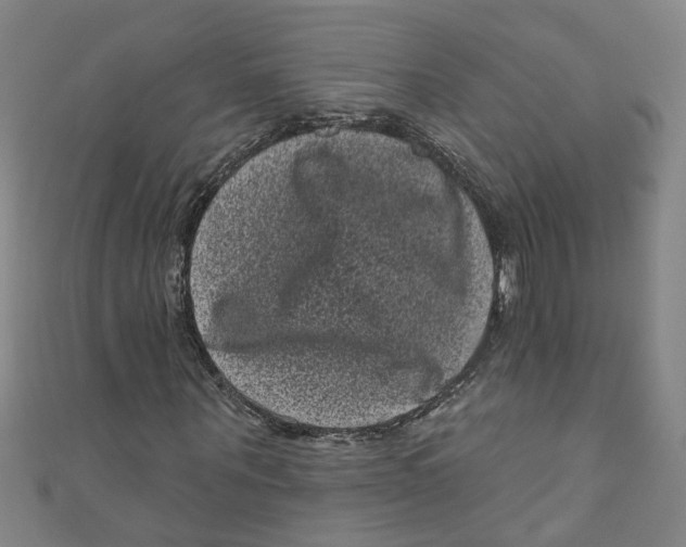 X0000110940867200907101245