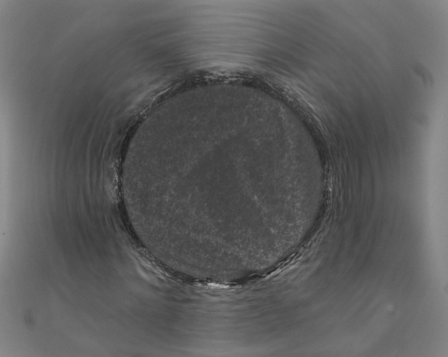 X0000110940868200907101245