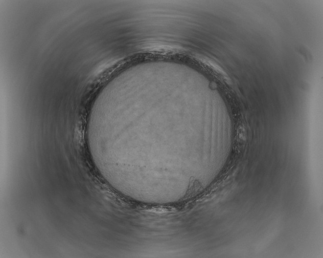 X0000110940869200907101245