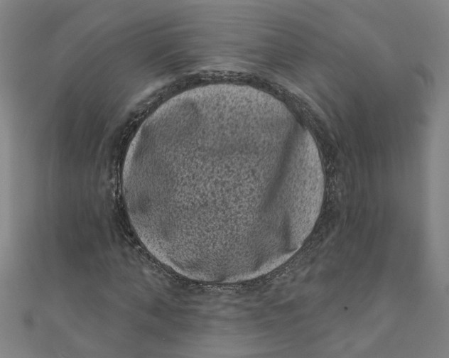 X0000110940870200907101245