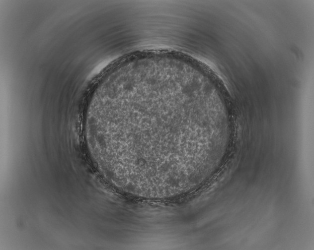 X0000110940871200907101245