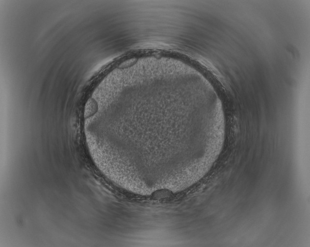 X0000110940872200907101245