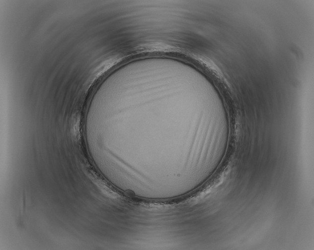 X0000110940873200907101245