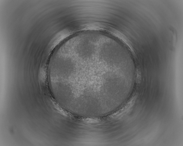 X0000110940874200907101245