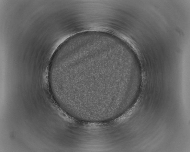 X0000110940875200907101245