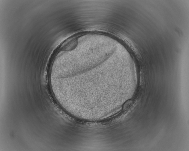 X0000110940876200907101245