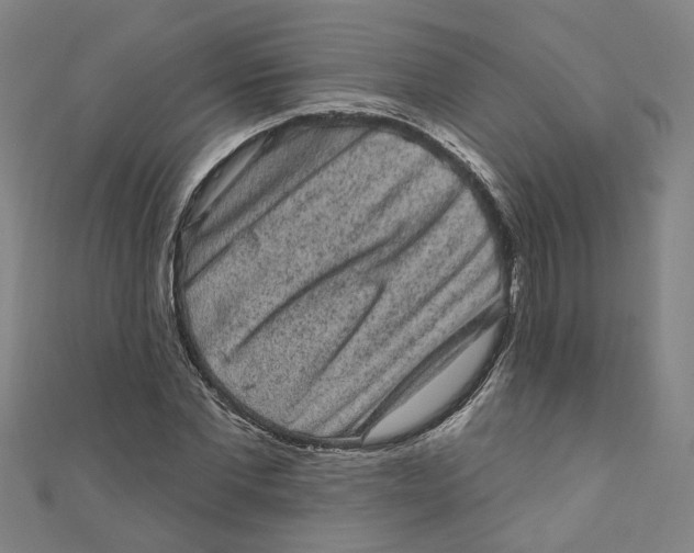 X0000110940877200907101245