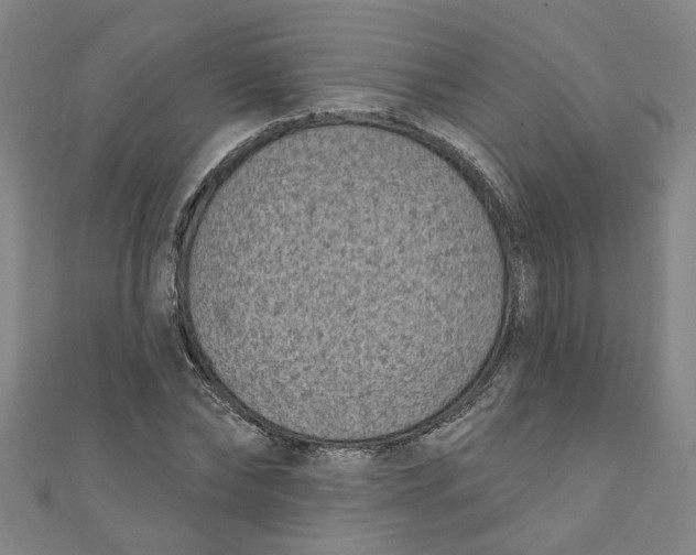 X0000110940878200907101245