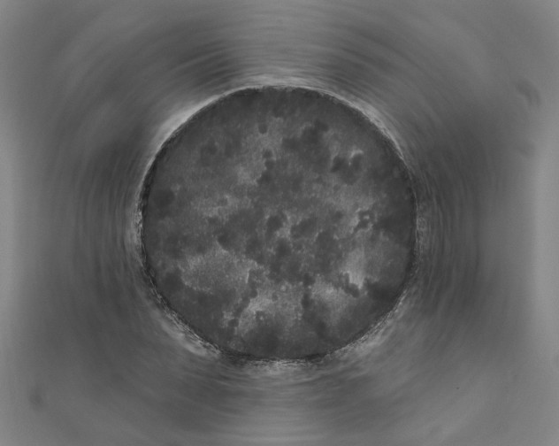 X0000110940879200907101245