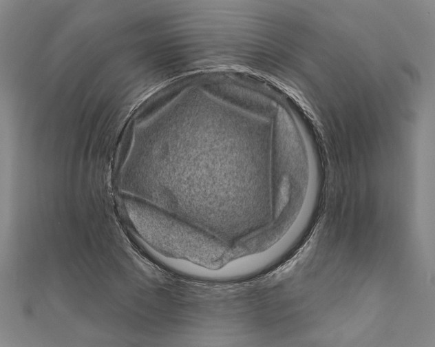 X0000110940881200907101245