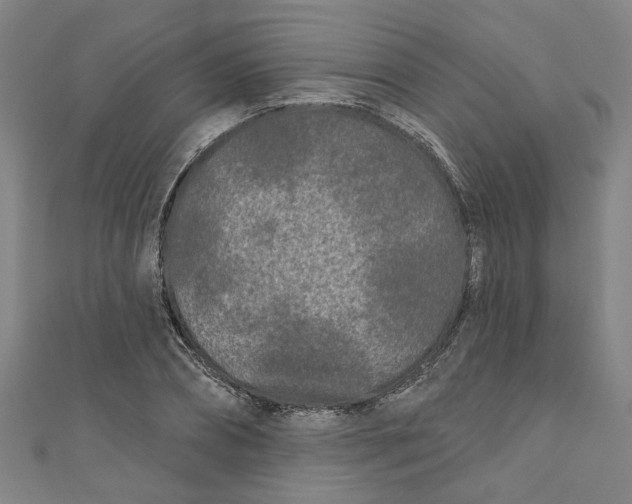 X0000110940882200907101245