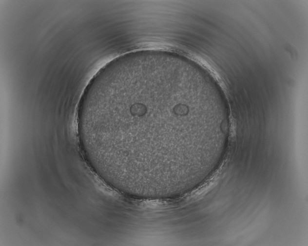 X0000110940883200907101245