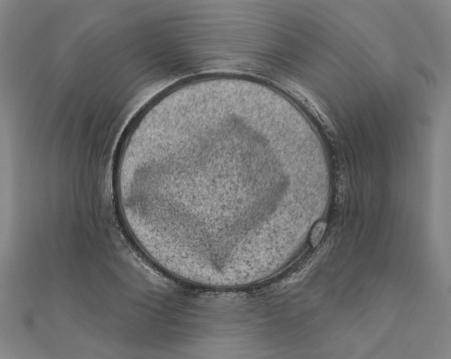 X0000110940884200907101245