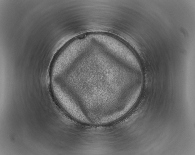 X0000110940885200907101245