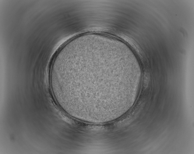 X0000110940886200907101245