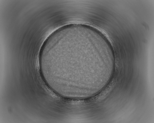 X0000110940887200907101245