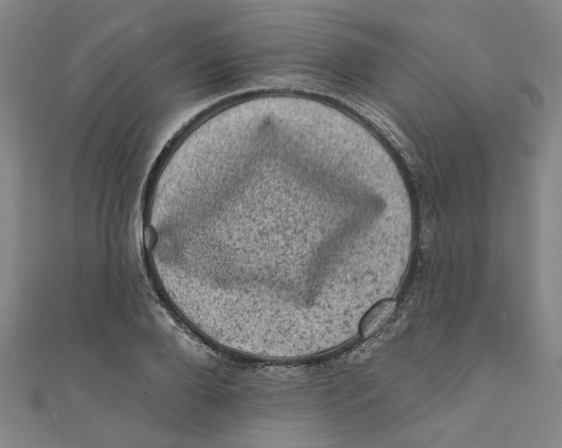 X0000110940888200907101244