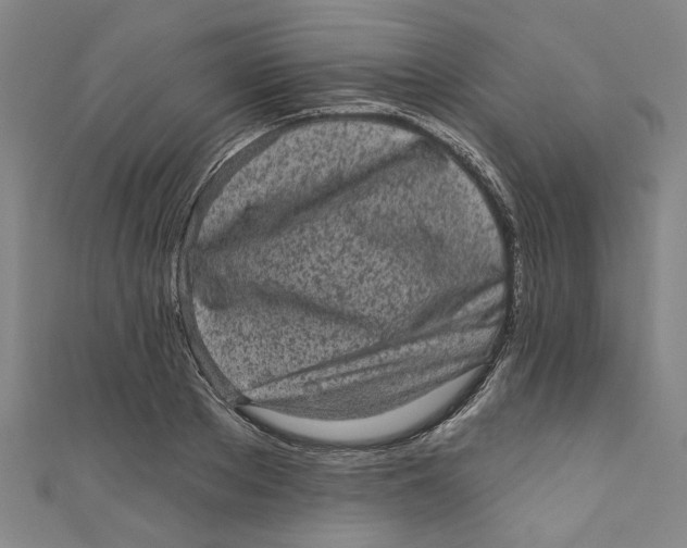 X0000110940889200907101244