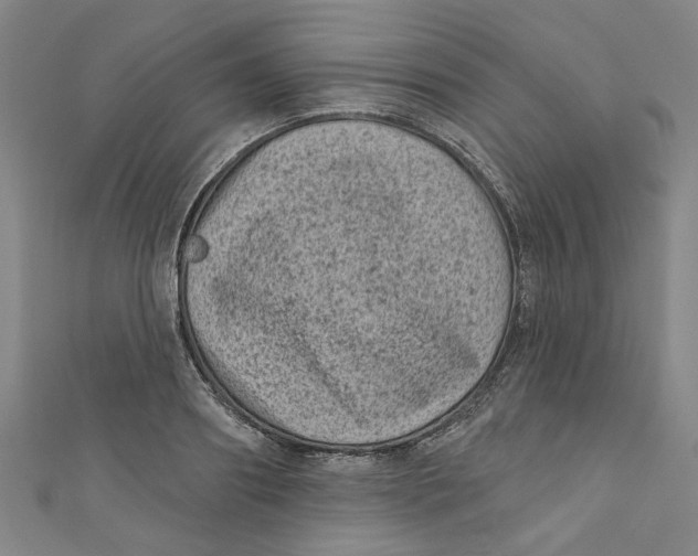 X0000110940890200907101244