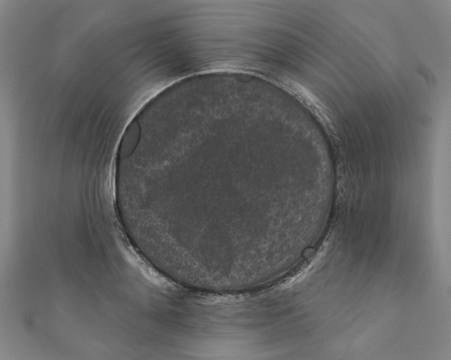 X0000110940892200907101244