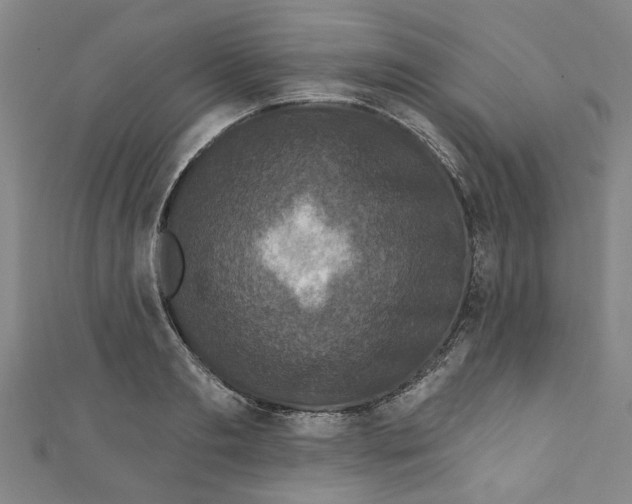 X0000110940893200907101244