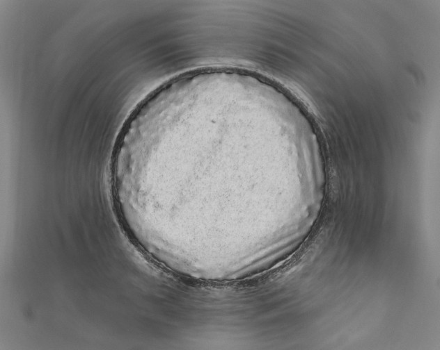 X0000110940895200907101244