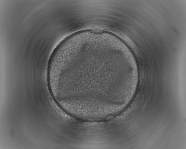 X0000110940896200907101244