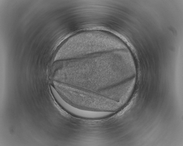 X0000110940897200907101244