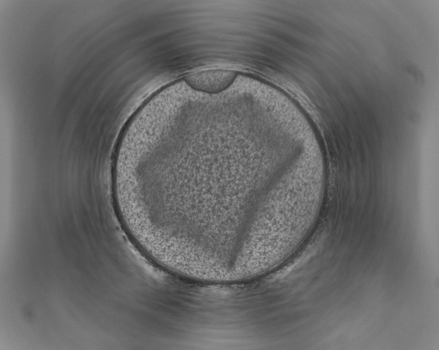 X0000110940898200907101244