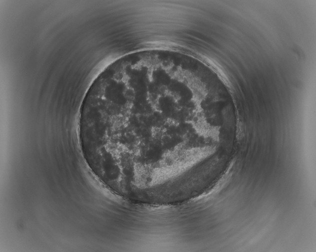 X0000110940899200907101244