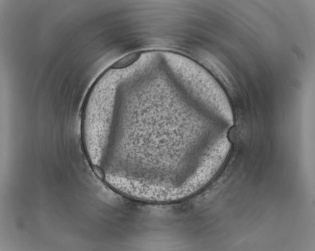 X0000110940900200907101244