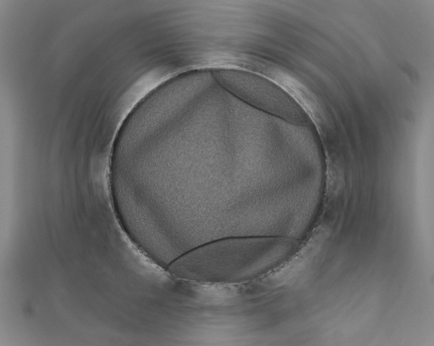 X0000110940901200907101244