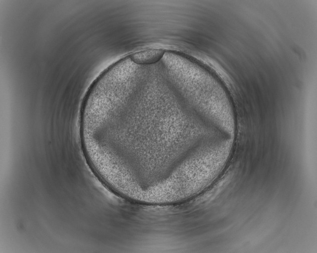 X0000110940902200907101244