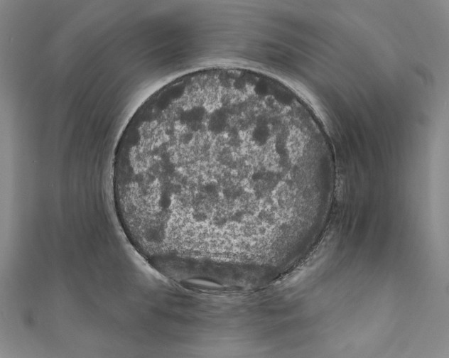 X0000110940903200907101244