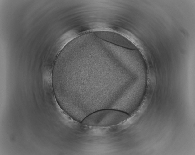 X0000110940905200907101244