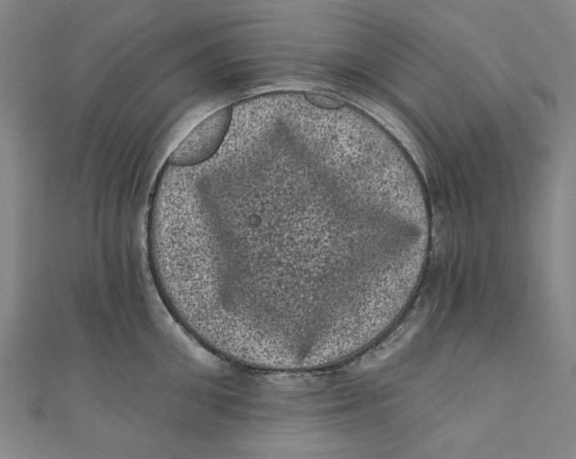 X0000110940906200907101244