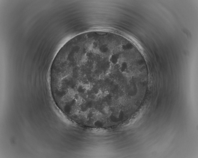 X0000110940907200907101244