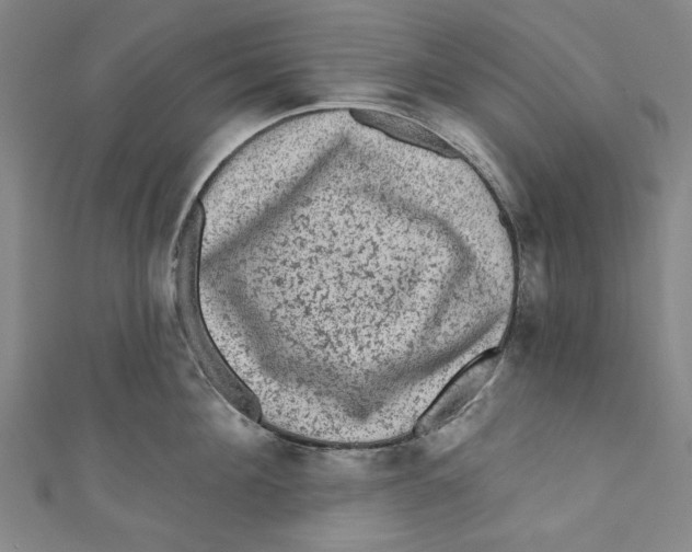 X0000110940908200907101244